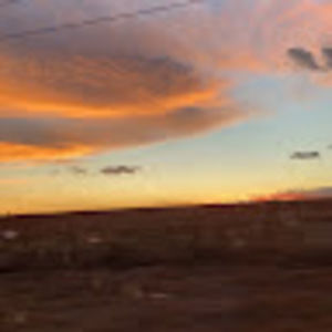 Meet your Posher, Leona